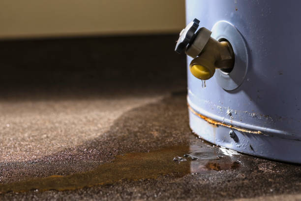 Best Carpet water damage restoration  in Elizabeth Lake, CA