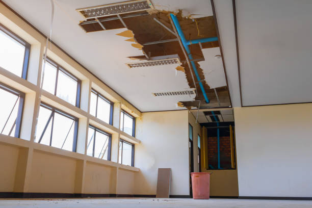 Best Water damage restoration near me  in Elizabeth Lake, CA