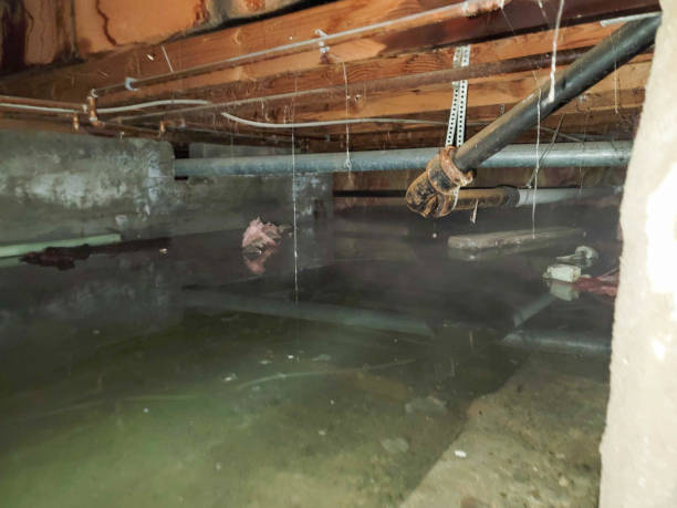Best Water damage restoration near me  in Elizabeth Lake, CA