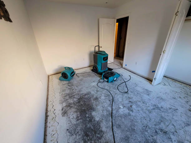 Best Ceiling water damage repair  in Elizabeth Lake, CA