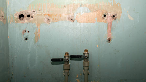 Best Residential water damage restoration  in Elizabeth Lake, CA