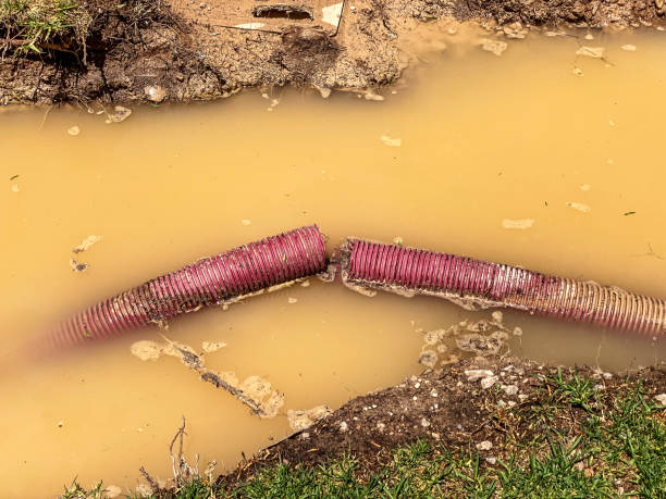 Best Local water damage restoration  in Elizabeth Lake, CA