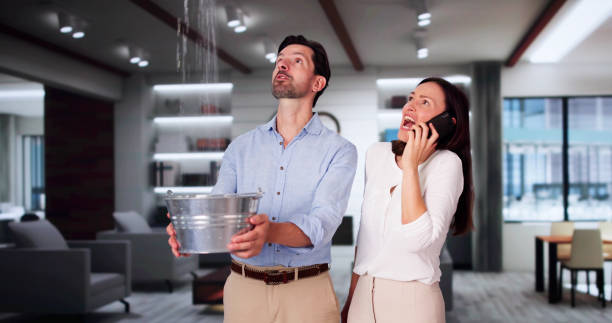 Best Sewage cleanup and water damage restoration  in Elizabeth Lake, CA